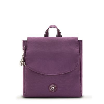 Kipling Dannie Fashion Backpacks Purple | USR2805KI